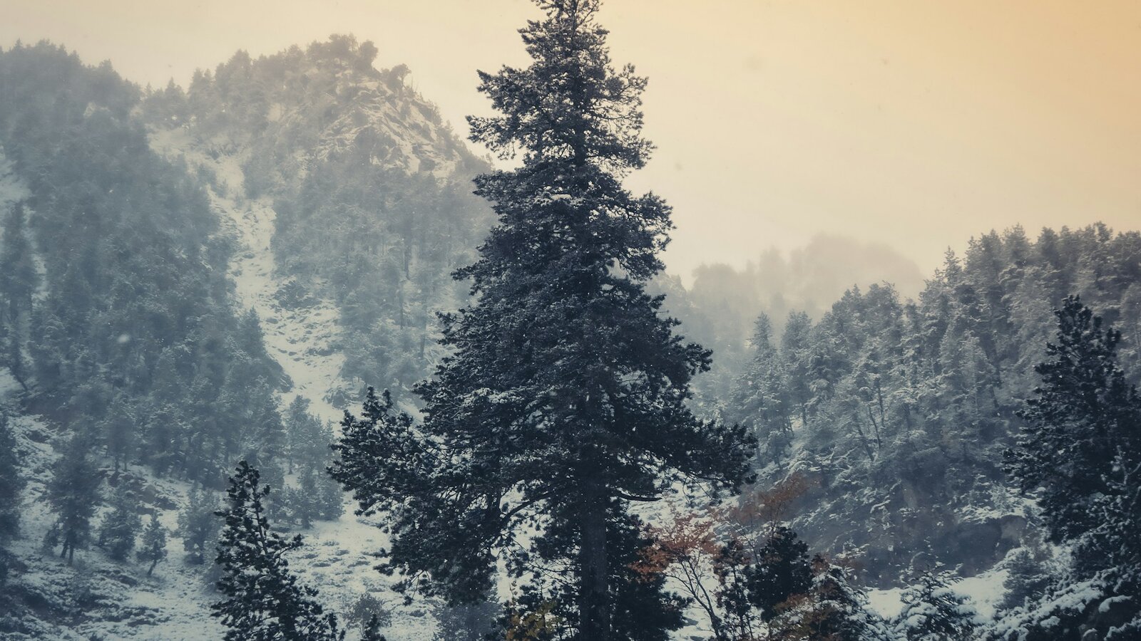 Pic de Montvalier et vallées pyrénéennes de l'Ariège