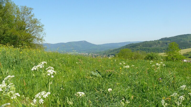 Prairie verdoyante et collines vallonnées de la Creuse
