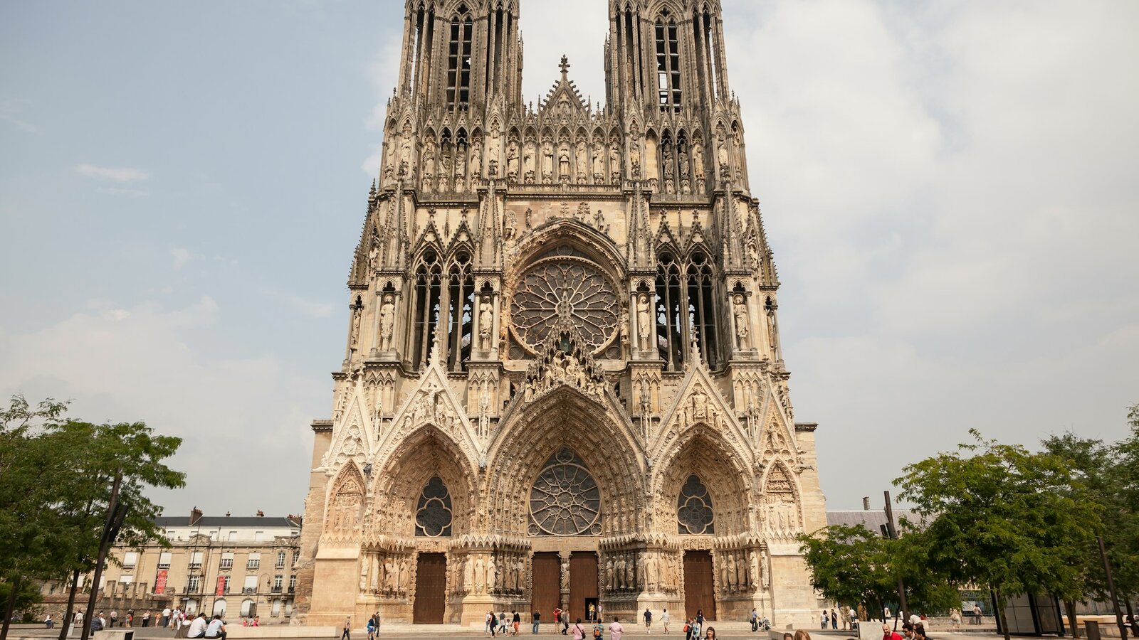 Vignobles champenois et cathédrale de Reims dans la Marne