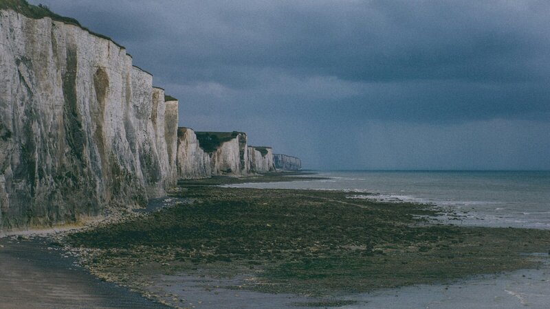 Baie de Somme et phoques sur les bancs de sable