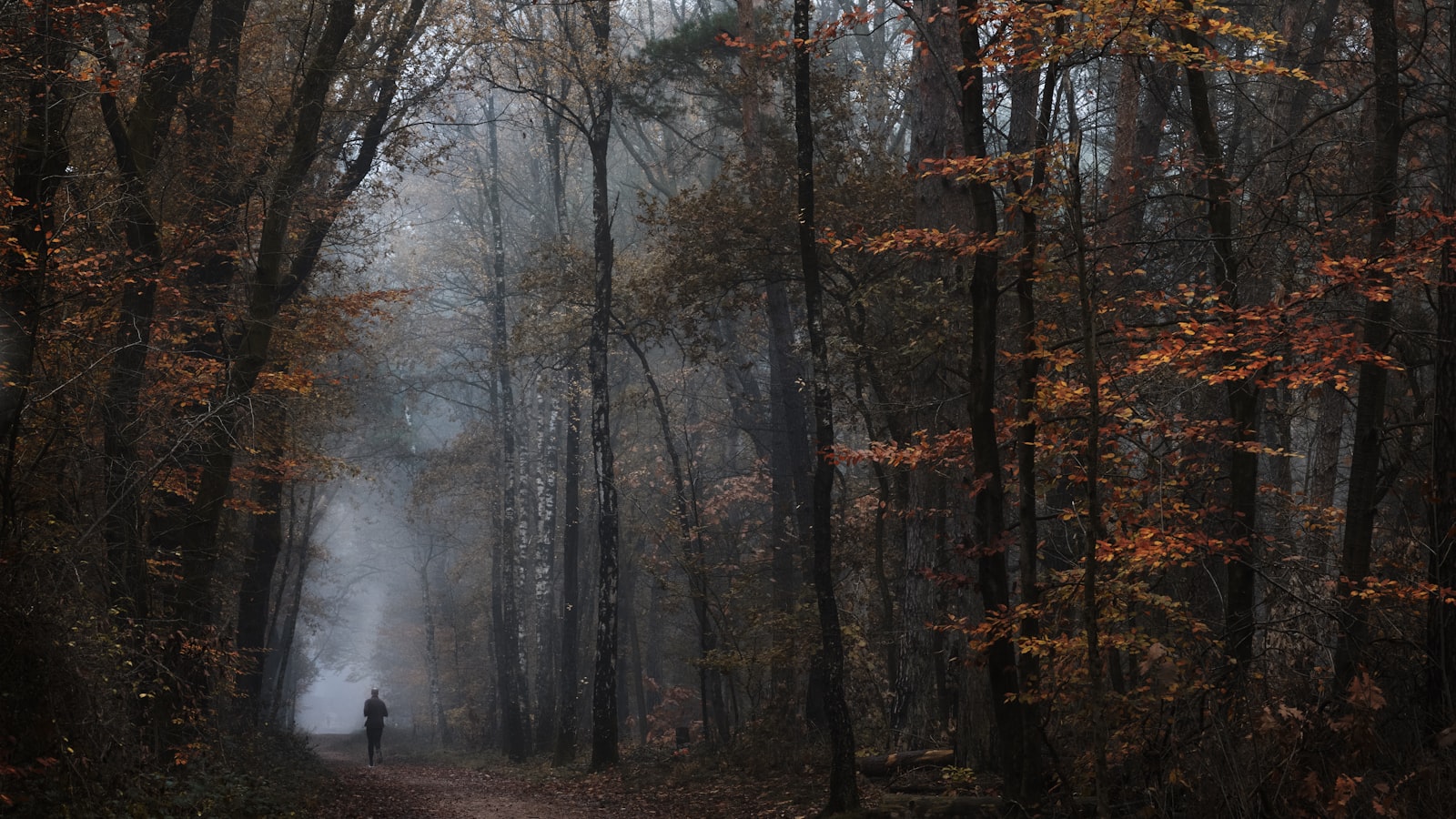 Joggeuse sur un sentier forestier brumeux en automne, ambiance douce et accessible
