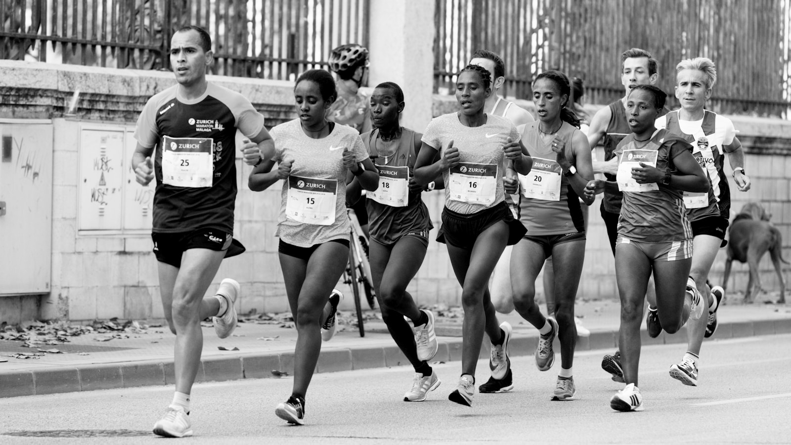 Coureuses élites en compétition lors d'un marathon, effort maximal et performance aérobie