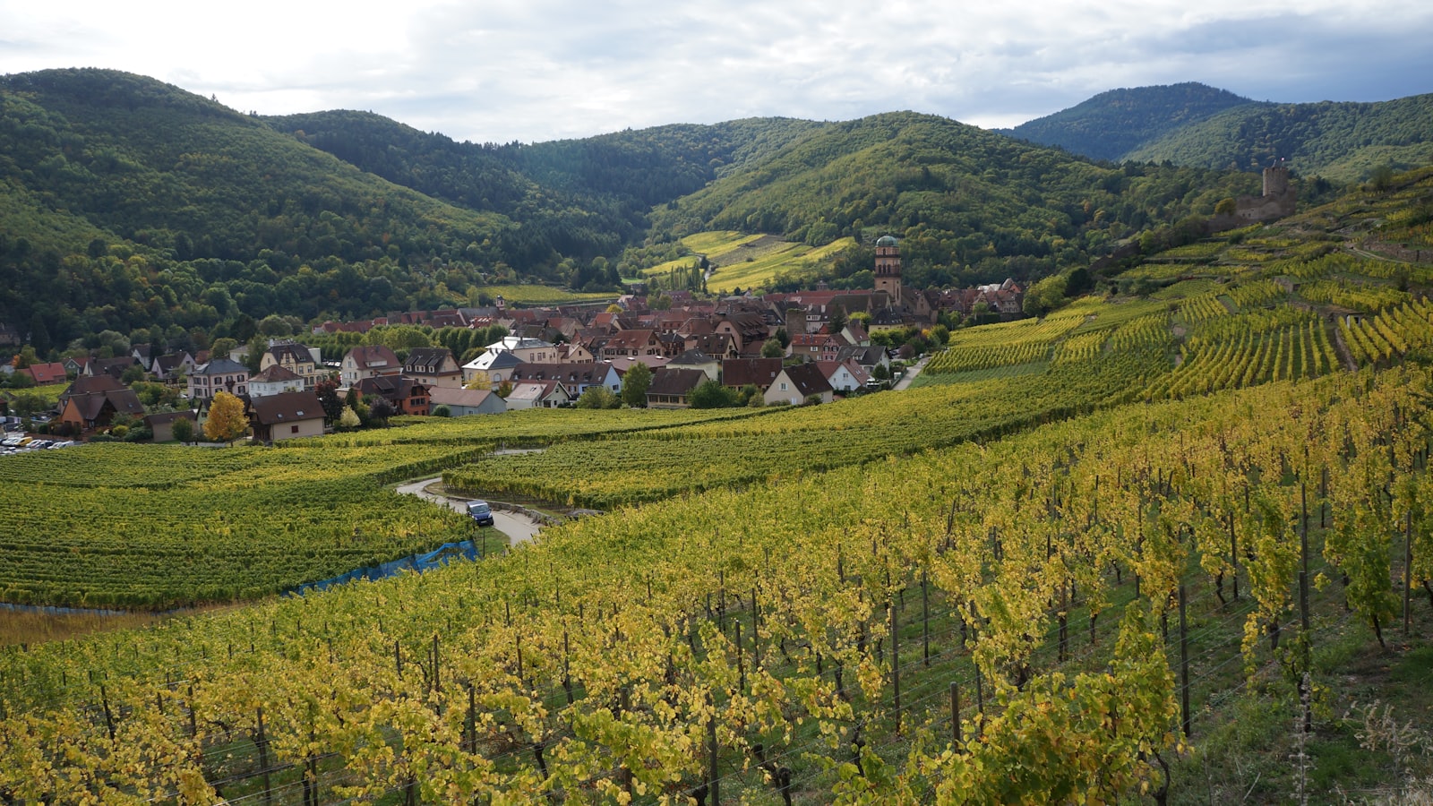 Village alsacien typique dans le Grand Est